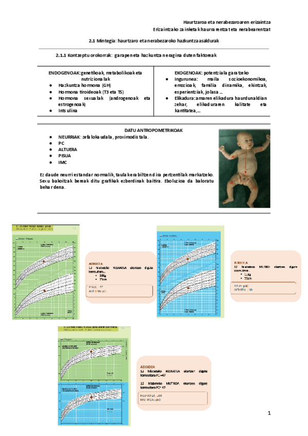 Miniatura del documento 2.1-Mintegia-haurtzaro-eta-nerabezaroko-hazkuntza-asaldurak.pdf