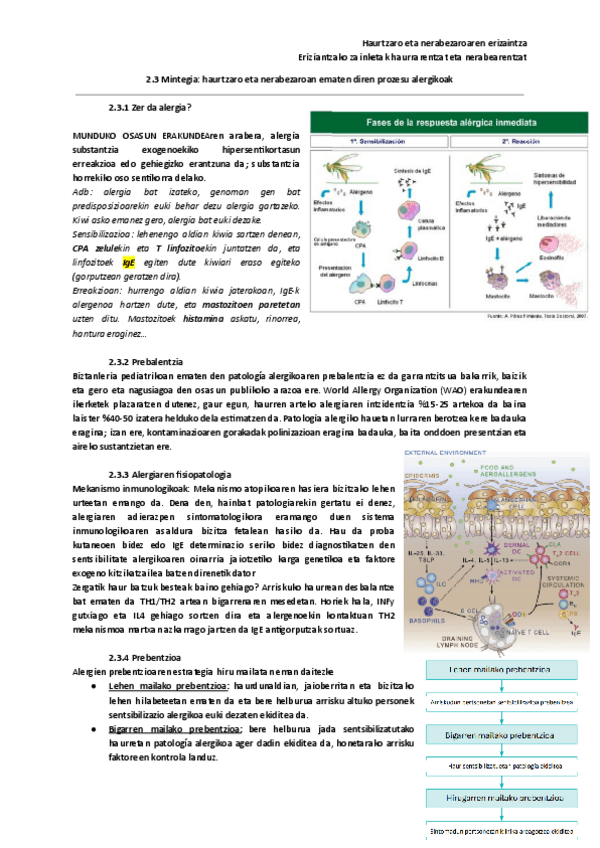 Miniatura del documento 2.3-Mintegia-haurtzaro-eta-nerabezaroan-ematen-diren-prozesu-alergikoak.pdf