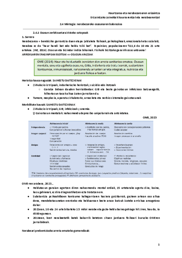 Miniatura del documento 2.4-Mintegia-nerabezaroko-osasunaren-balorazioa.pdf