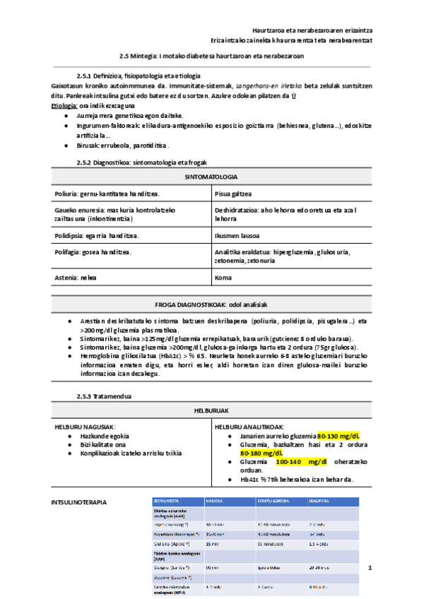 Miniatura del documento 2.5-Mintegia-I-motako-diabetesa-haurtzaroan-eta-nerabezaroan.pdf
