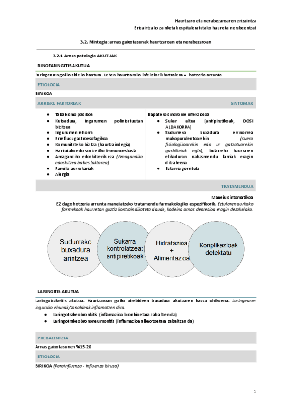 Miniatura del documento 3.2.-Mintegia-arnas-gaixotasunak-haurtzaroan-eta-nerabezaroan.pdf