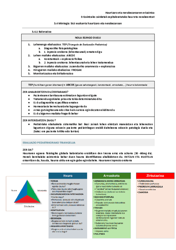 Miniatura del documento 3.4-Mintegia-bizi-euskarria-haurtzaro-eta-nerabezaroan.pdf