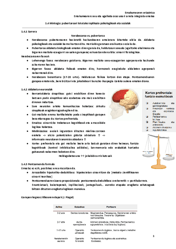 Miniatura del documento 1.4-Mintegia-pubertaroari-lotutako-inplikazio-psikologikoak-eta-sozialak.pdf