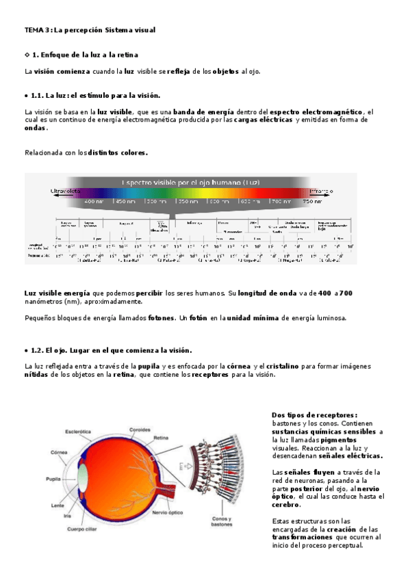 Miniatura del documento TEMA-3.2.-HE-SACADO-UN-9.pdf