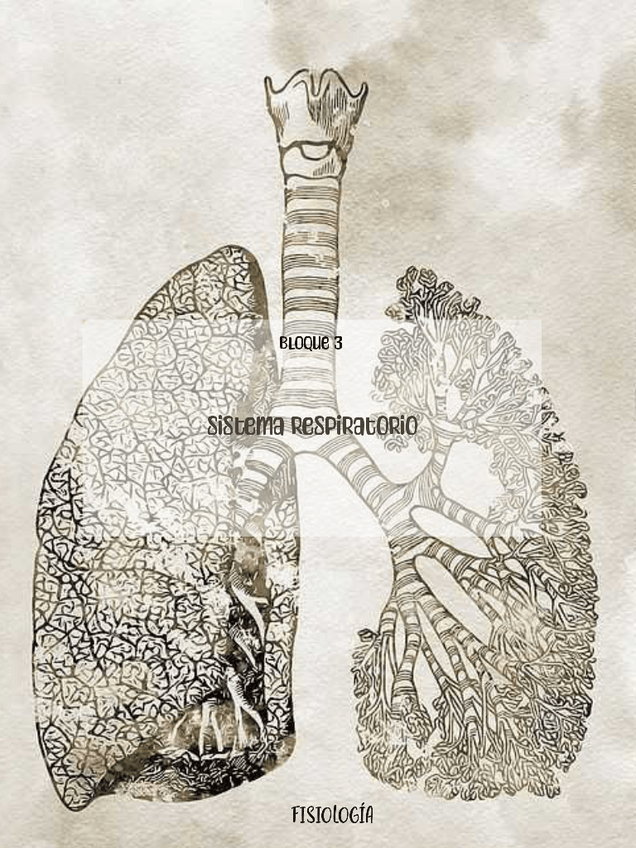 Miniatura del documento Fisiologia-bloques-3-y-4-completos-lucas.pdf