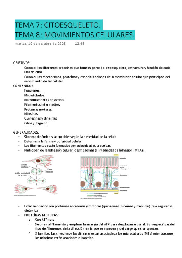 Miniatura del documento TEMA-7-Y-TEMA-8-BIO-CEL.-Y-MOLEC.pdf