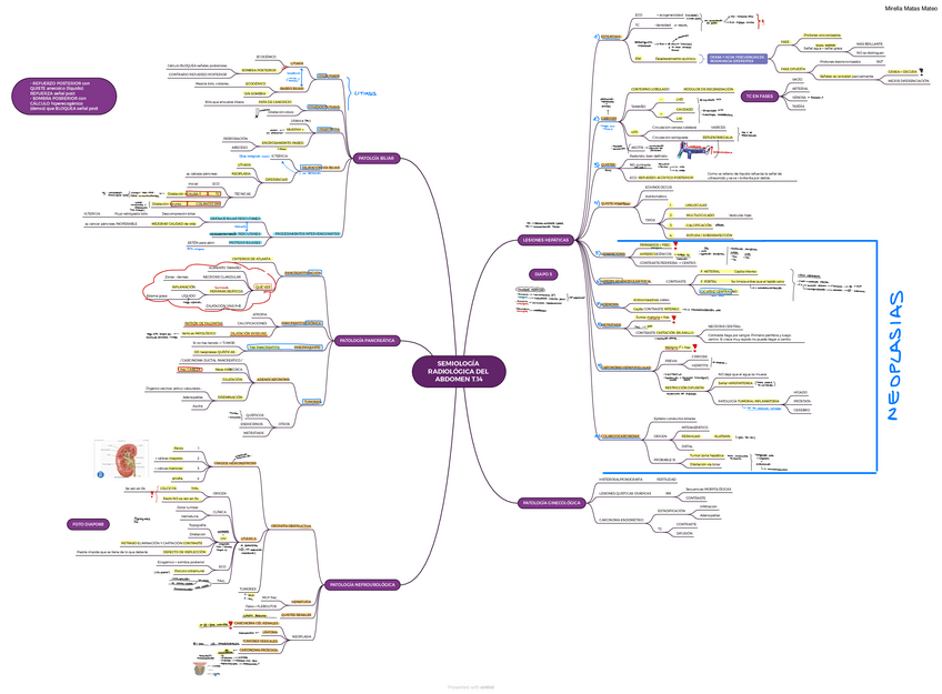 Miniatura del documento T.14-SEMIOLOGIA-RADIOLOGICA-DEL-ABDOMEN-2.pdf