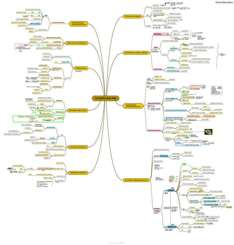 Miniatura del documento T.15-PATOLOGIA-SNC.pdf