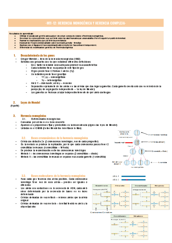 Miniatura del documento M11-12-HERENCIA-MONOGENICA-Y-HERENCIA-COMPLEJA-1.pdf