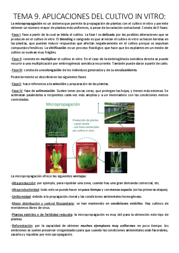 Miniatura del documento Tema 9. Aplicaciones del cultivo in vitro..pdf