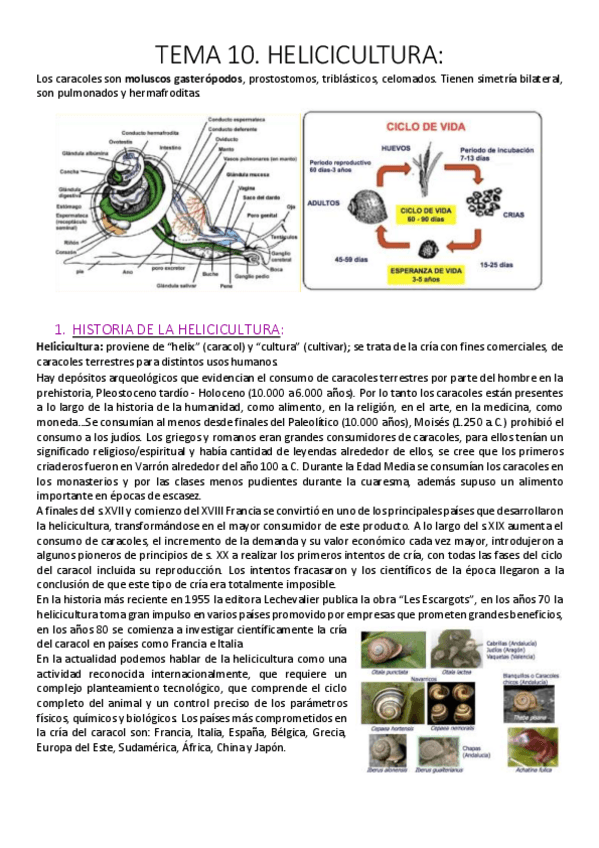 Miniatura del documento Tema 10. Helicicultura..pdf