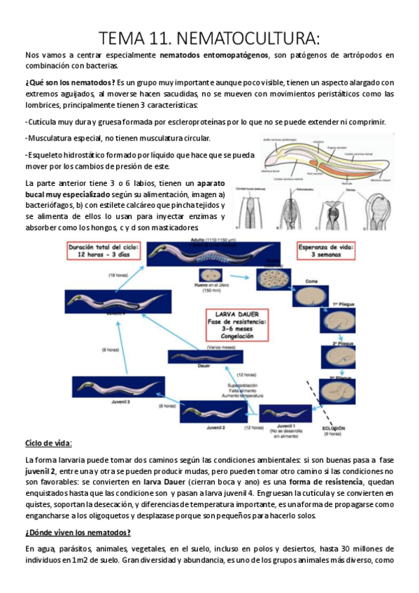 Miniatura del documento Tema 11. Nematocultura..pdf