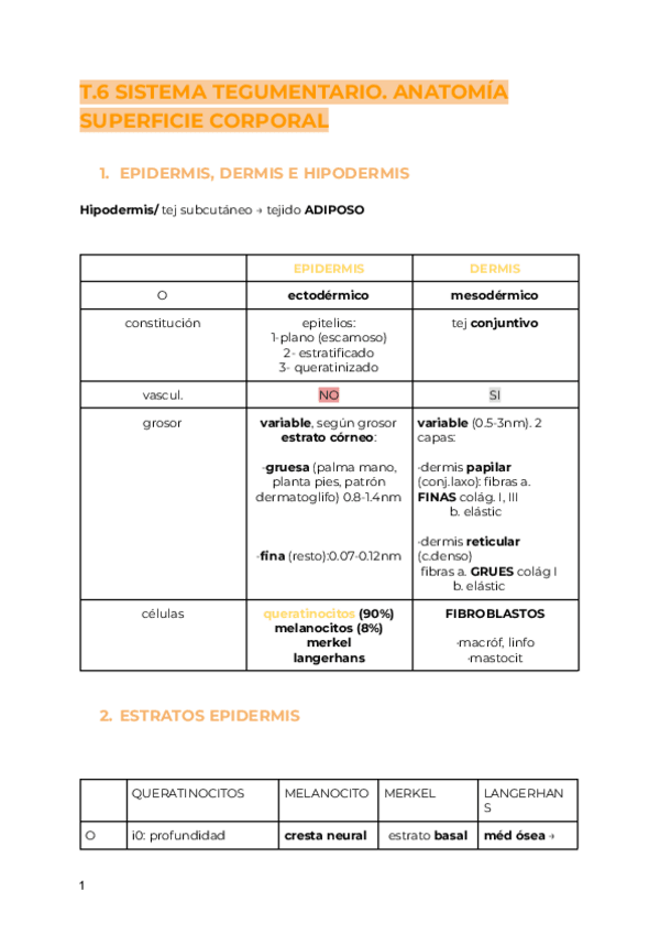 Miniatura del documento ANATOMIA-TODO.pdf