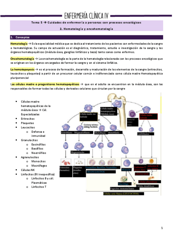 Miniatura del documento Tema-2-onco.pdf