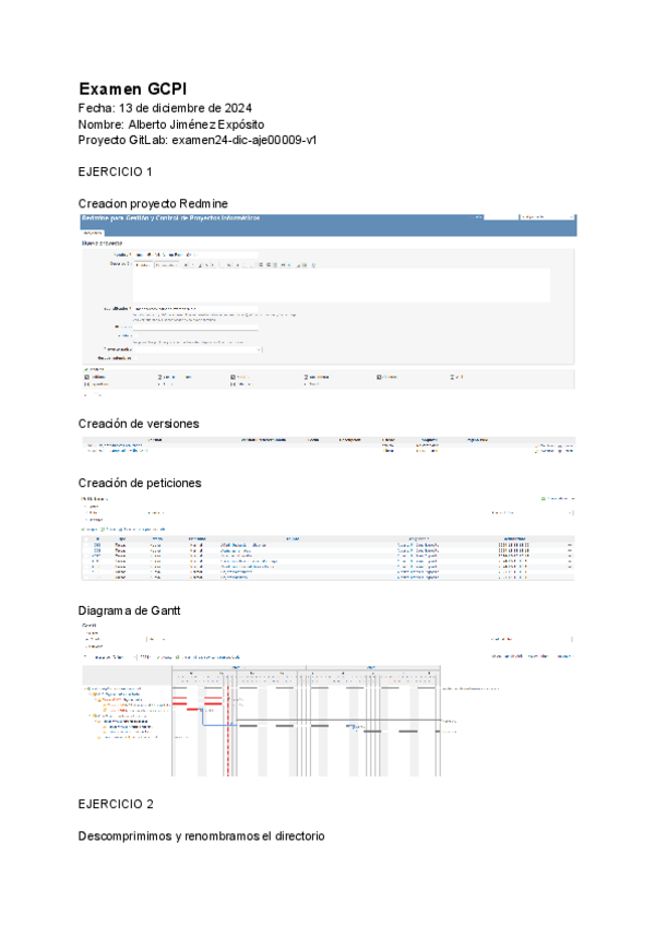 Miniatura del documento ExamenPracticas.pdf