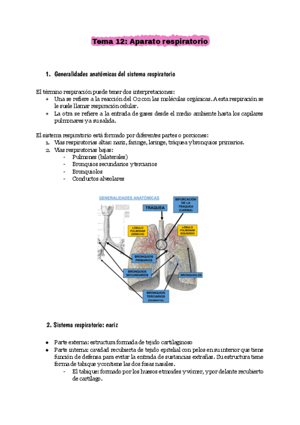 Miniatura del documento Temas-12-14-resumen-anatomia.pdf
