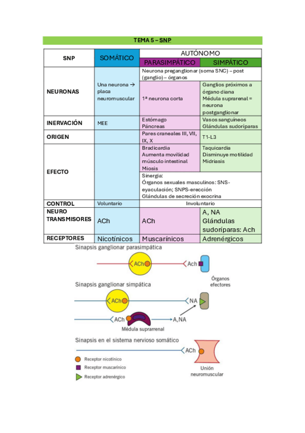 Miniatura del documento 2.-SNP.pdf