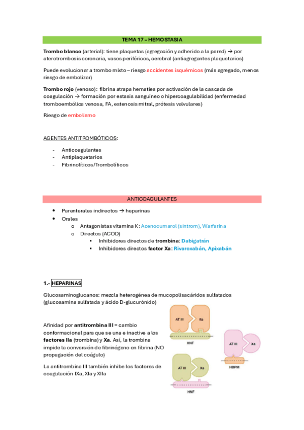 Miniatura del documento 6.-Coagulacion.pdf