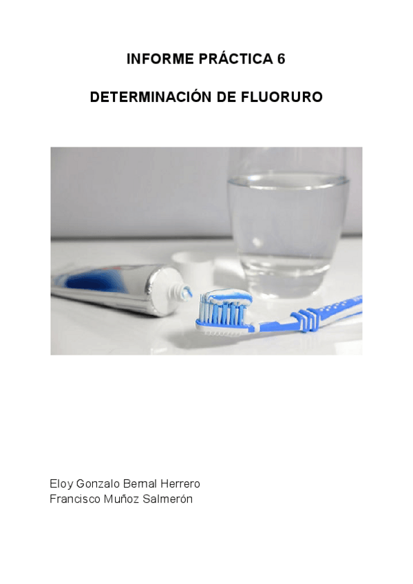 Miniatura del documento INFORME-PRACTICA-6-1.pdf
