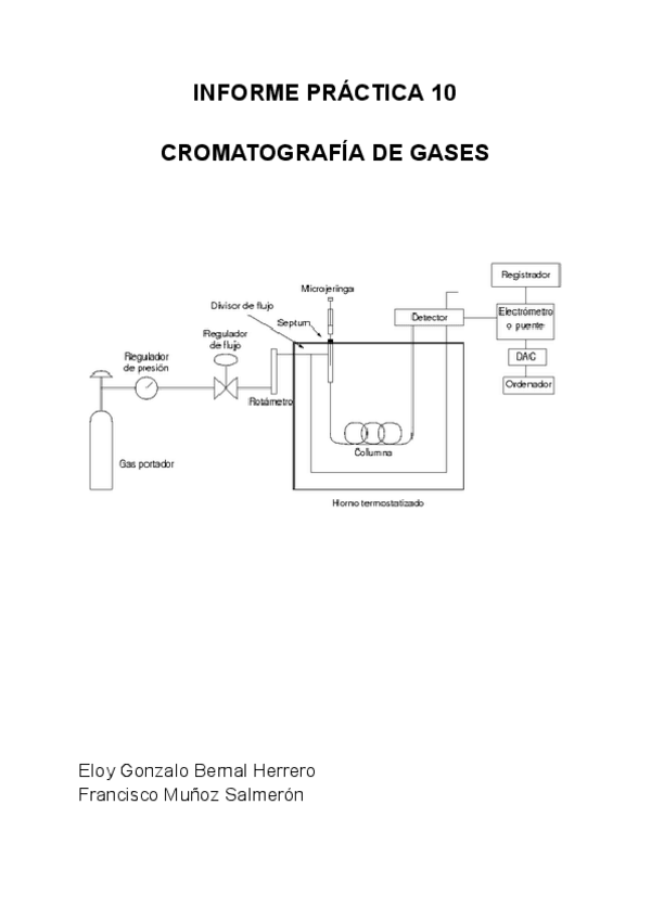 Miniatura del documento INFORME-PRACTICA-10-2.pdf