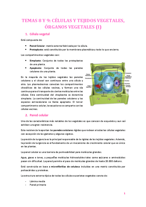 Miniatura del documento tema 8 y 9 I.pdf