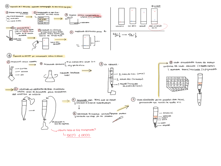 Miniatura del documento Esquema-Practica-6-E.-Quimica.pdf