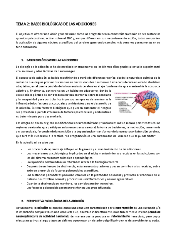 Miniatura del documento TEMA-2.pdf
