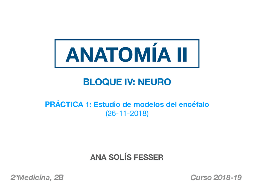 Miniatura del documento PRACTICA 1. Estudio de modelos del encéfalo .pdf