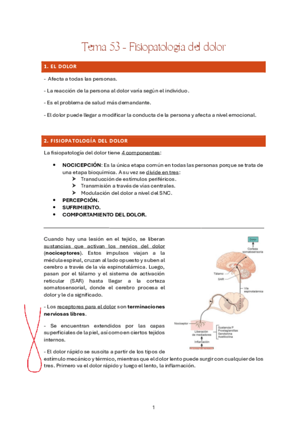Miniatura del documento Tema-53-Fisiologia.pdf