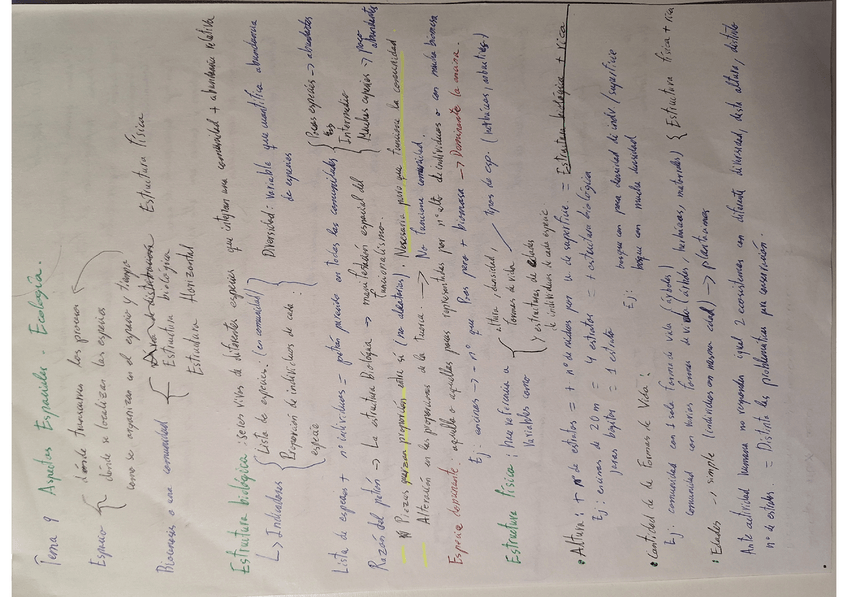 Miniatura del documento Tema-9.pdf