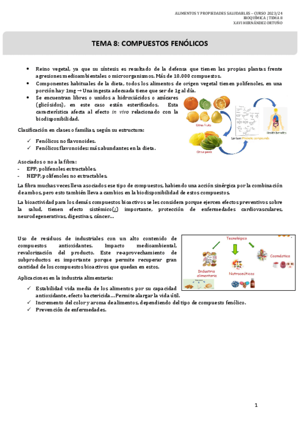 Miniatura del documento 8.-COMPUESTOS-FENOLICOS-Bioquimica.pdf