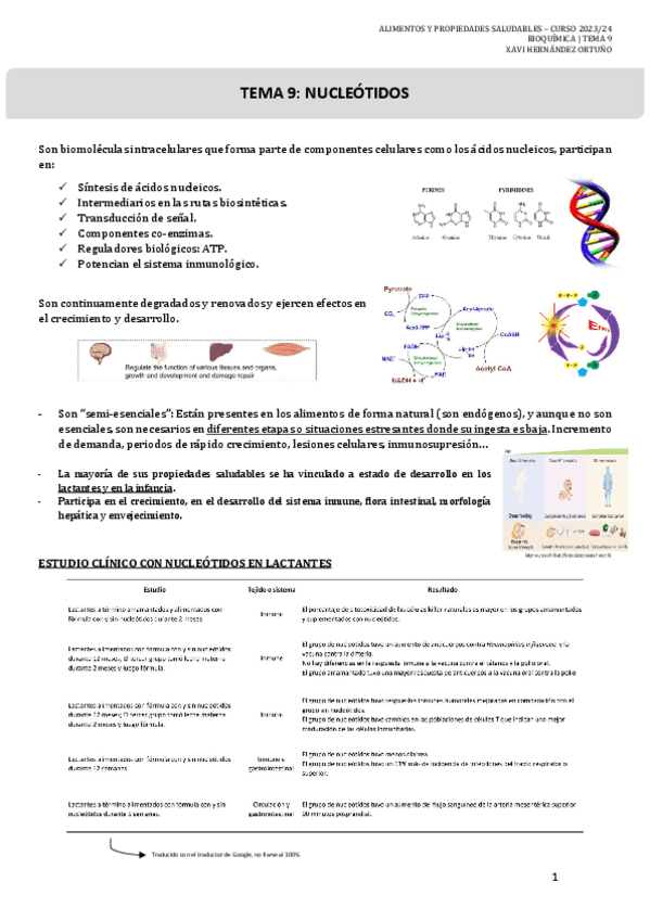Miniatura del documento 9.-NUCLEOTIDOS-Bioquimica.pdf