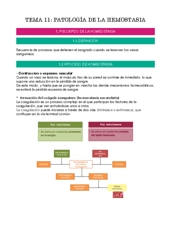 Miniatura del documento tema-11.pdf