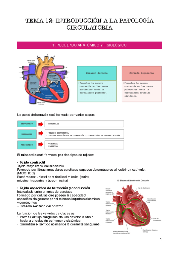 Miniatura del documento Tema-12.pdf