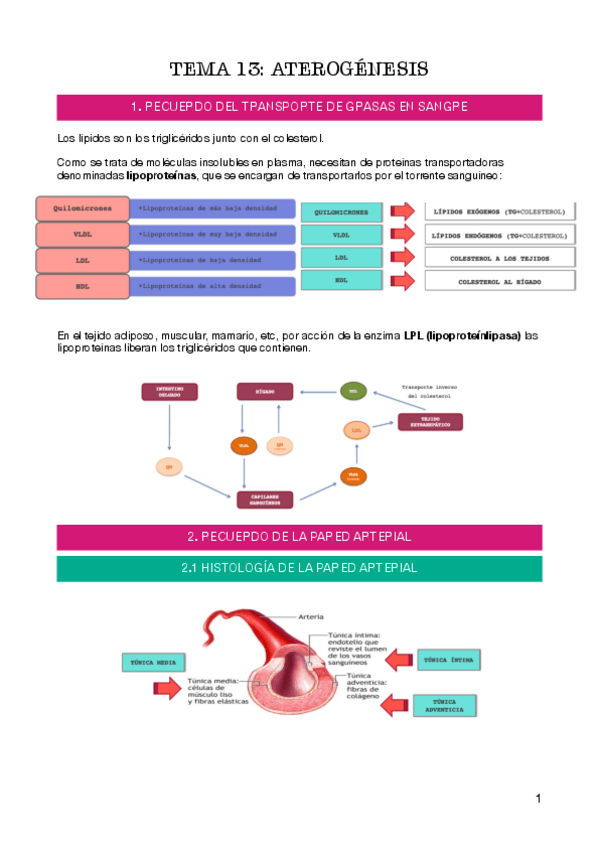 Miniatura del documento tema-13.pdf