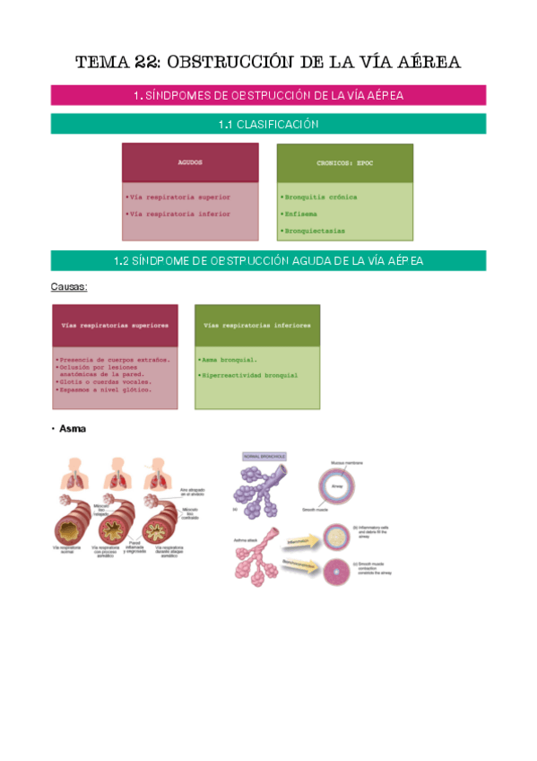 Miniatura del documento tema-22.pdf