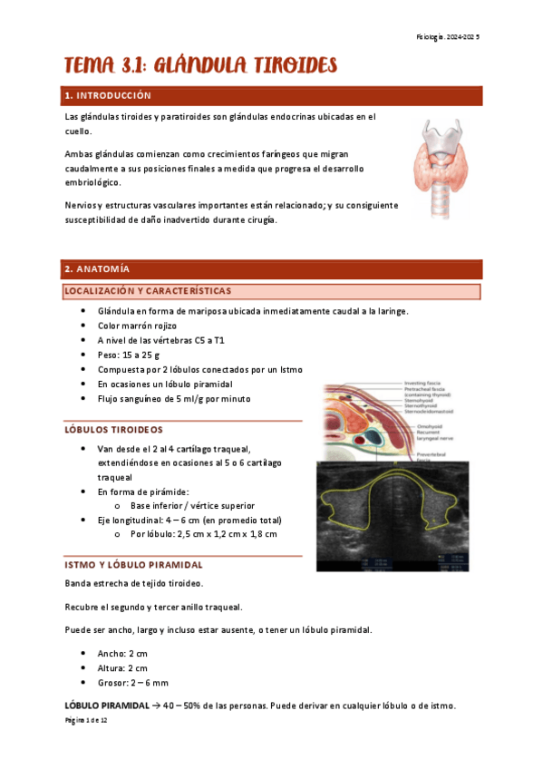 Miniatura del documento TEMA-3-FISIO.pdf