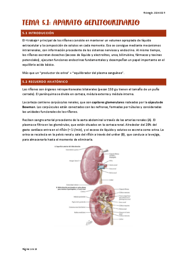 Miniatura del documento TEMA-5.1-FISIO.pdf