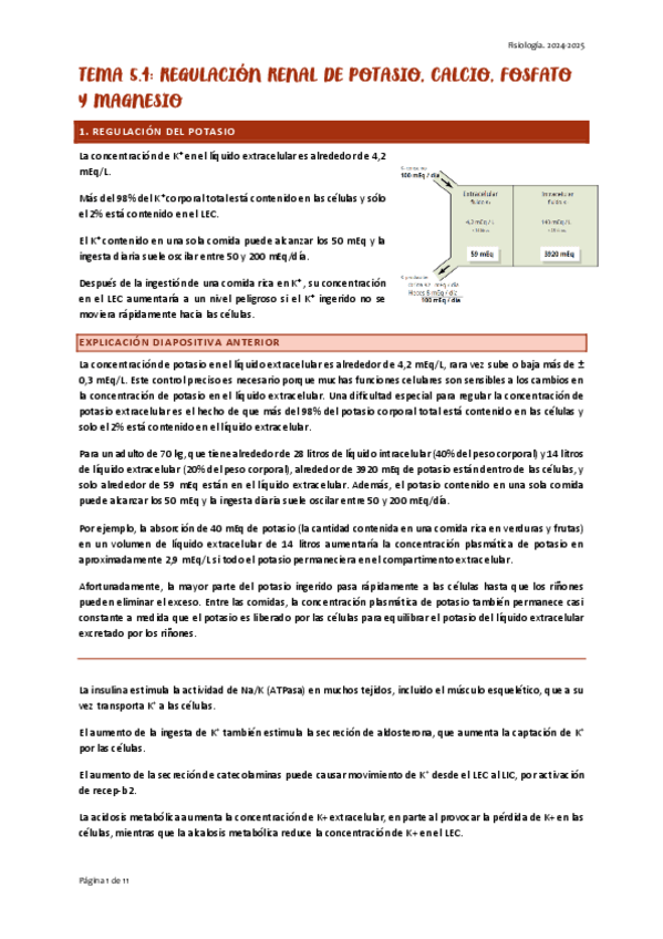 Miniatura del documento TEMA-5.4-FISIO-candara.pdf