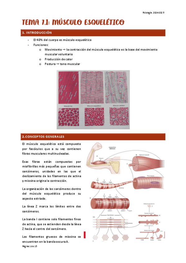 Miniatura del documento TEMA-7.1-FISIO.pdf