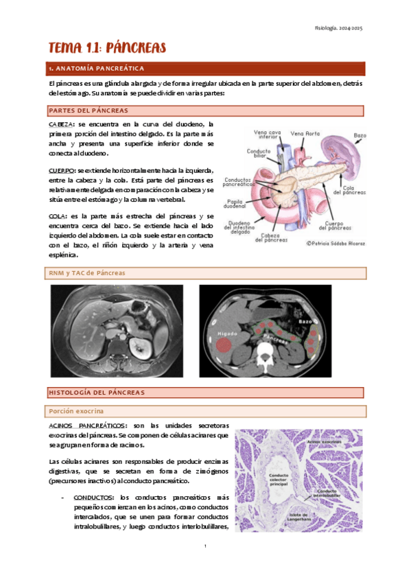 Miniatura del documento TEMAS-DR.-DE-LA-FUENTE.pdf