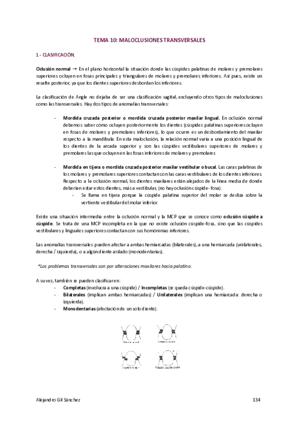 Miniatura del documento ORTODONCIA-2-Documentos-de-Google-134-150.pdf