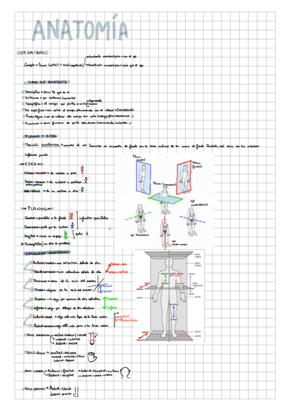 Miniatura del documento Primeras-clases-anato-1-1-parcial.pdf