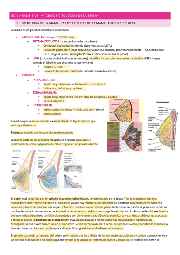 Miniatura del documento TEMA-6.ANALISIS-DE-IMAGEN-DE-CITOLOGIAS-DE-LA-MAMA.pdf