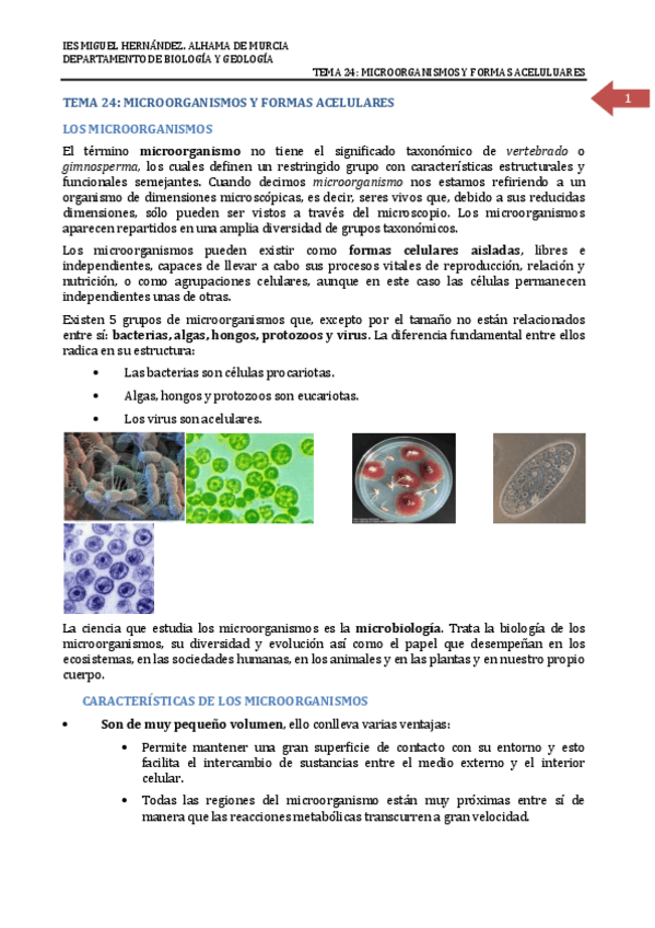 Miniatura del documento 24 MICROBIOLOGÍA.pdf