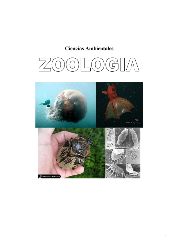 Miniatura del documento ZOOLOGIA_2_.pdf