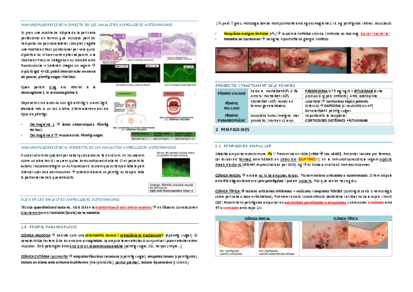 Miniatura del documento derma-TOT-51-100.pdf