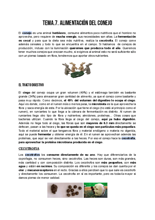 Miniatura del documento IAC_TEMA_7.pdf