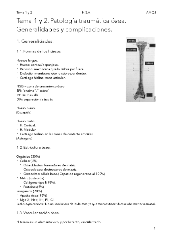 Miniatura del documento AMQITema-1-y-2.-Patologia-traumatica-osea.-Generalidades-y-complicaciones..pdf