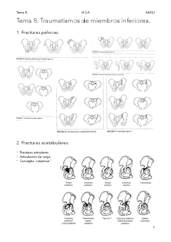 Miniatura del documento AMQITema-8.-Traumatismos-de-miembros-inferiores..pdf